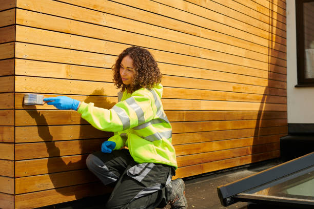 Best Stone Veneer Siding  in Bethalto, IL